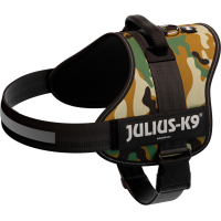 PHO PRO CLIP 150621 3 #SALL #AWK #V1