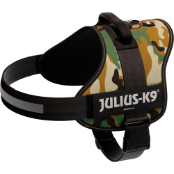 PHO PRO CLIP 150621 3 #SALL #AWK #V1 PHO PRO CLIP 150621 3 #SALL #AWK #V1