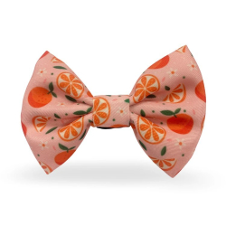 s3.gy.digital jmco uploads asset data 2733 B2B MP 131 MP 60512 1 s3.gy.digital jmco uploads asset data 2733 B2B MP 131 MP 60512 1