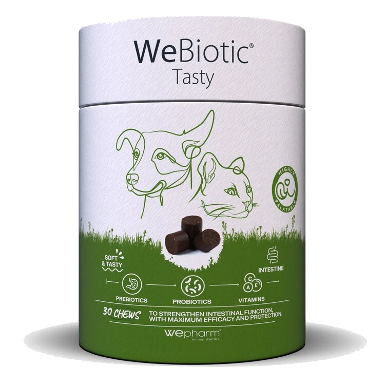 s3.gy.digital jmco uploads asset data 5370 WE 2049 (1) s3.gy.digital jmco uploads asset data 5370 WE 2049 (1)