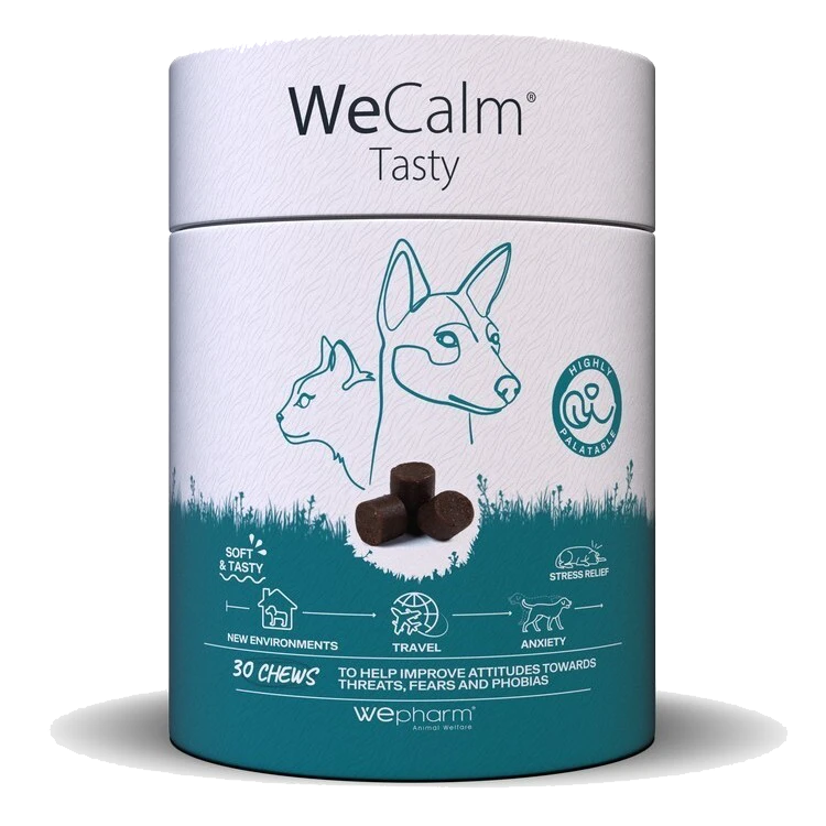 s3.gy.digital jmco uploads asset data 5370 WE 2049 s3.gy.digital jmco uploads asset data 5370 WE 2049