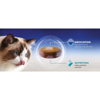 αρχείο λήψης