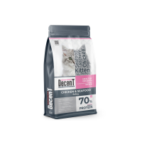 Decent Kitten 1,5 Left