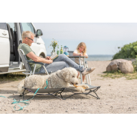 PHO IMAGE DOG Goldendoodle Ole Campingbett knabbert Kauartikel 2 #SALL #AWK #V1