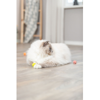 PHO PRO CAT 4534 3 #SALL #AWK #V1