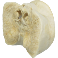 PHO PRO CLIP 2722 4 #SALL #AWK #V1