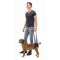 PHO PRO USE CLIP 19406 19409 2 #SALL #AWK #V1