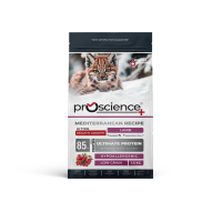 PS kitten 1 5kg Front