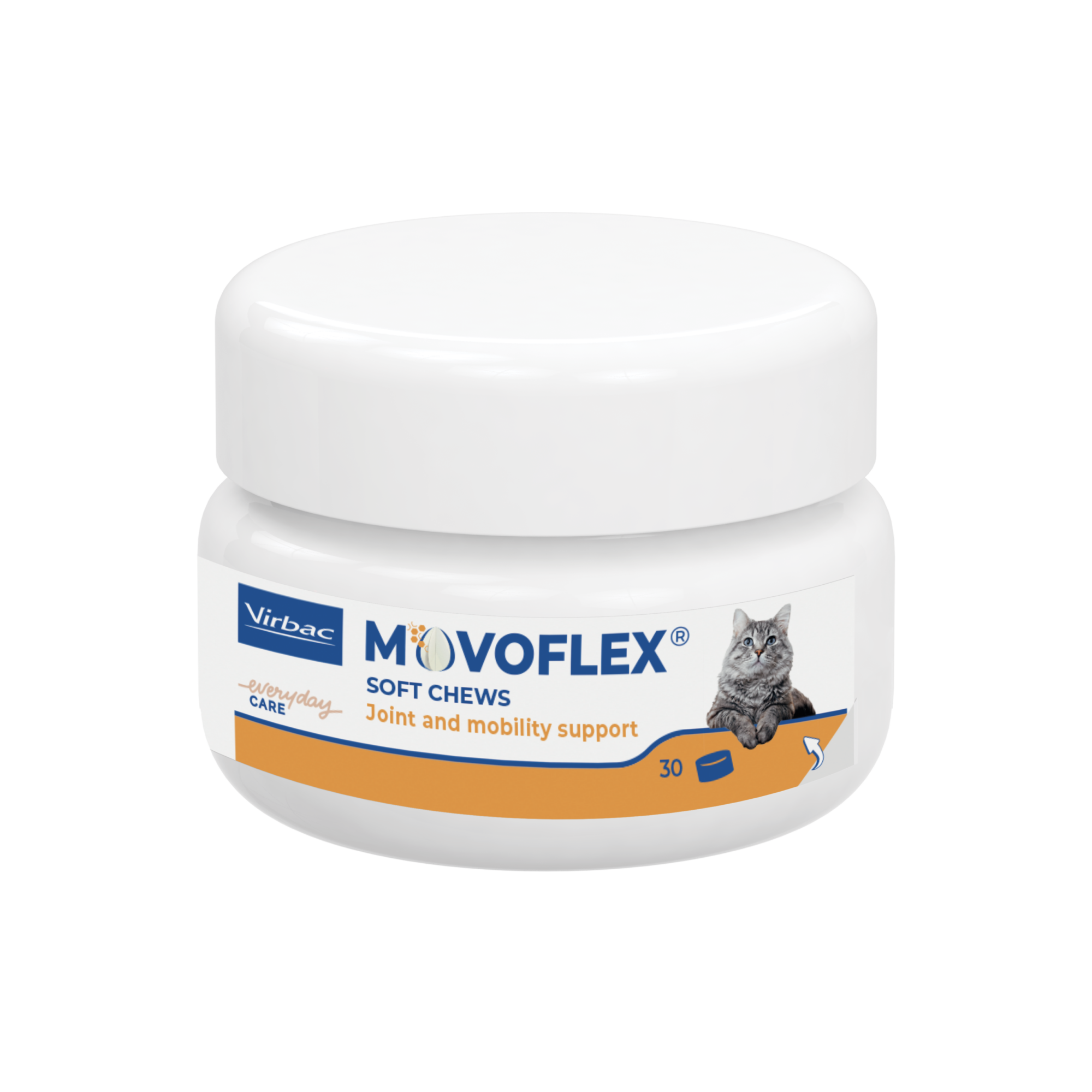 400504 Jar Movoflex Cat x30 face 400504 Jar Movoflex Cat x30 face