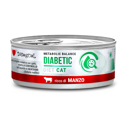 DSDTG080 500px.width 500 DSDTG080 500px.width 500