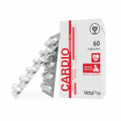cardio small 2048x2048