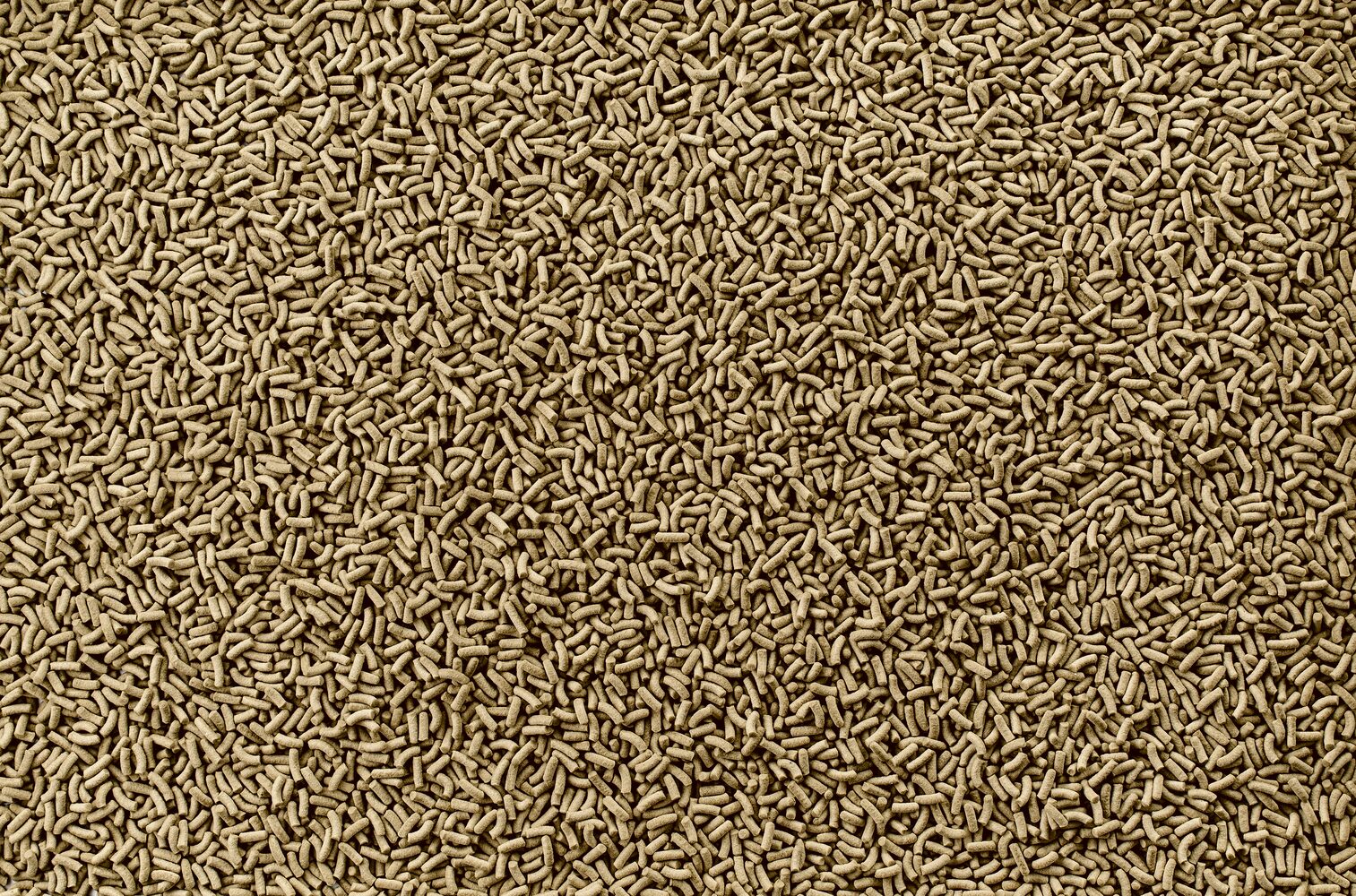csm T803529 9631 0bfabf8f09 csm T803529 9631 0bfabf8f09