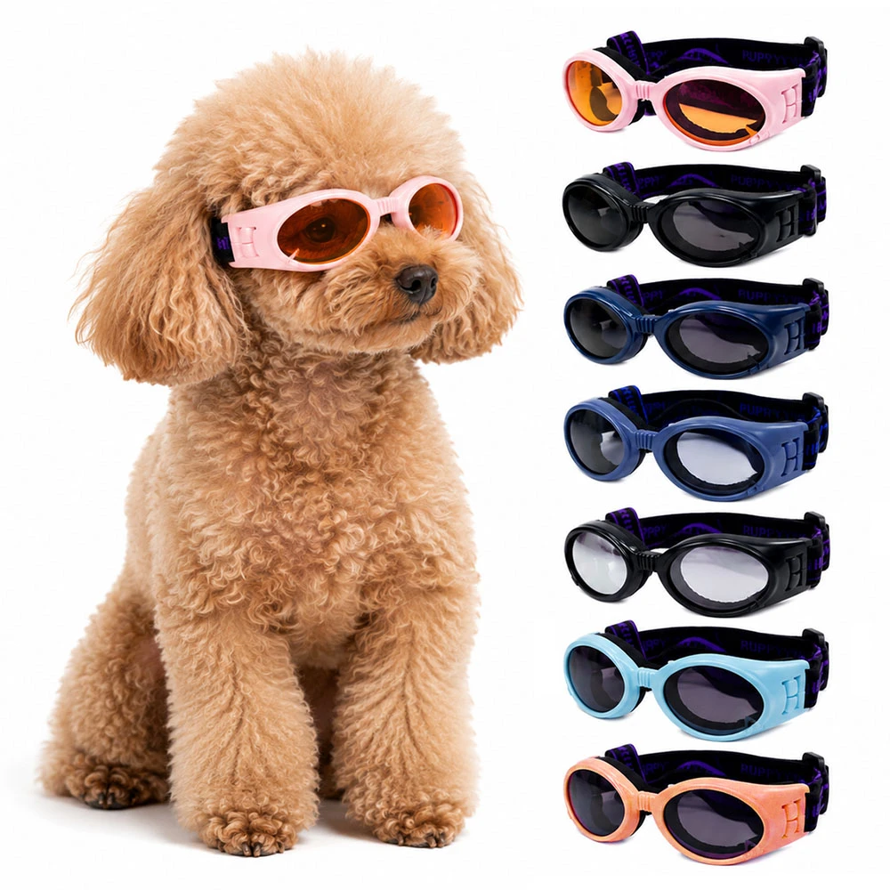 Pet Googles Gialia Iliou Skyloy Pet Googles Gialia Iliou Skyloy