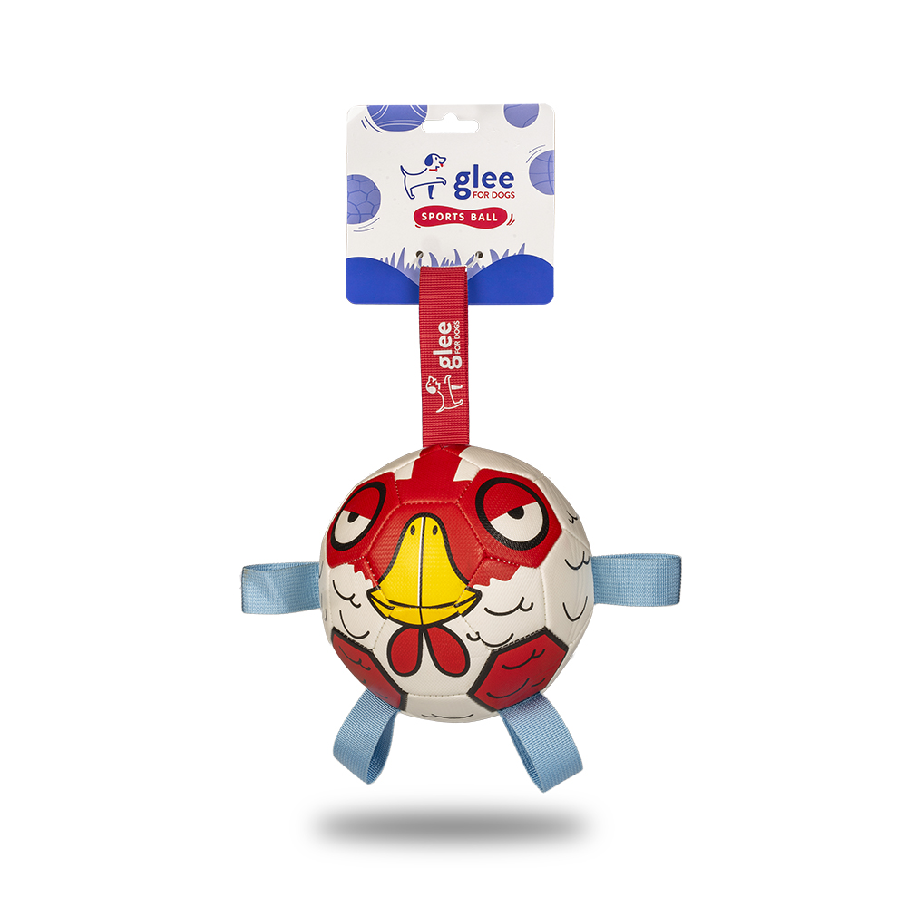 GLEE Soccer Ball Chicken Medium GLEE Soccer Ball Chicken Medium