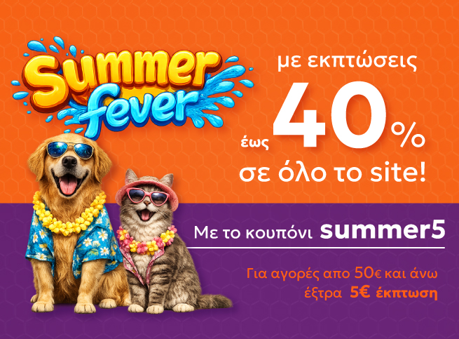 Summer Fever Website Banner Summer Fever Website Banner