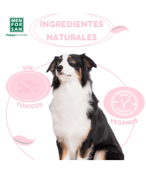champu acondicionador para perros 300ml (2) champu acondicionador para perros 300ml (2)