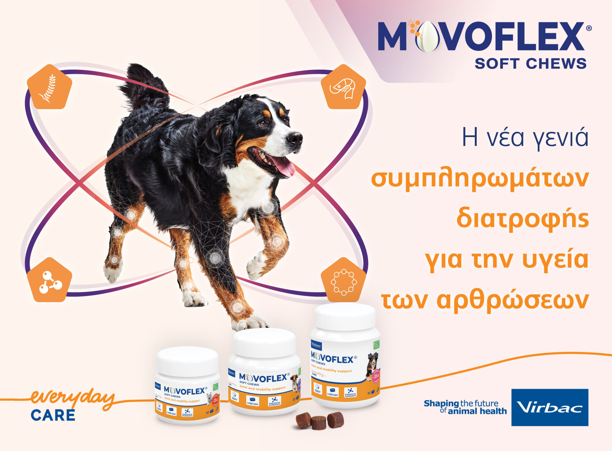 VIRBAC MOVOFLEX